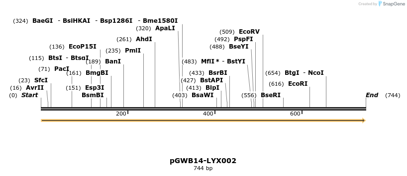 241494_map