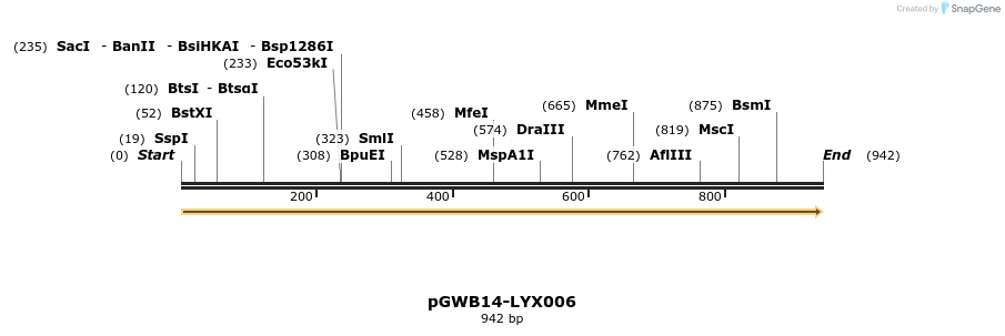 241498_map