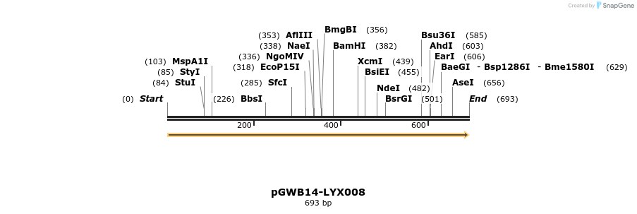 241500_map