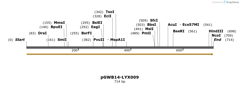 241501_map