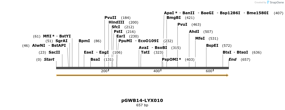 241502_map