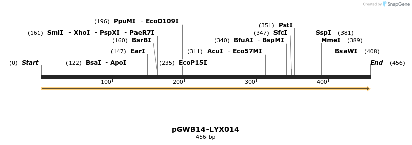 241506_map
