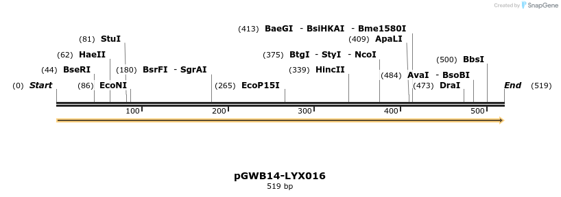 241508_map