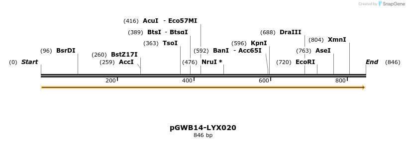 241512_map