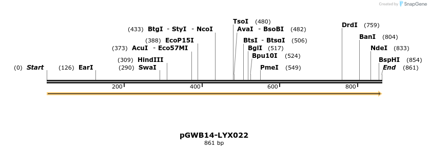 241514_map