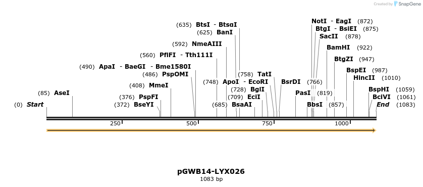 241518_map