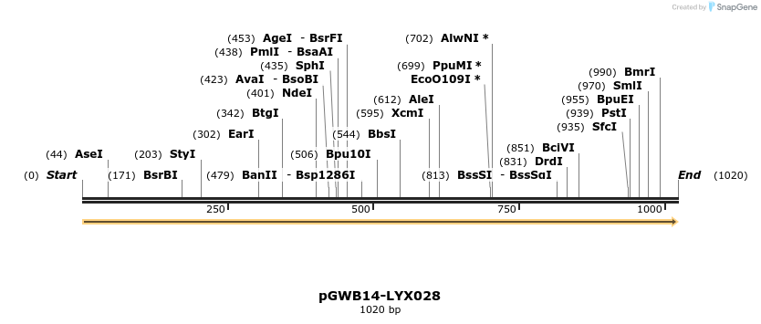 241520_map