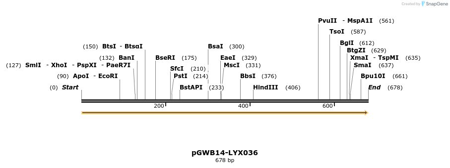 241528_map