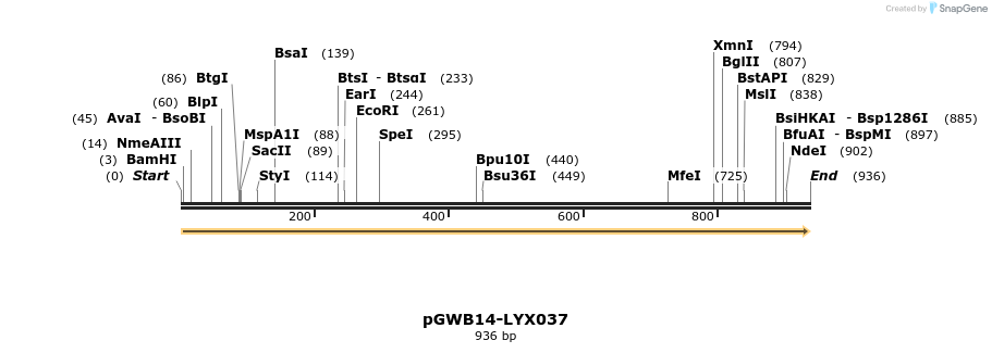 241529_map