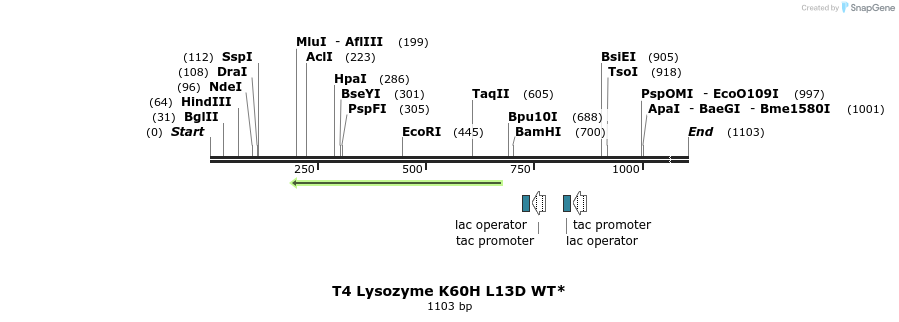 24153_map