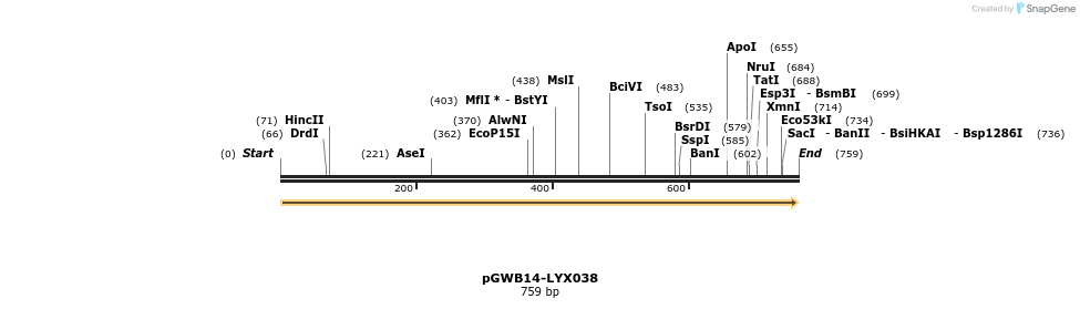 241530_map