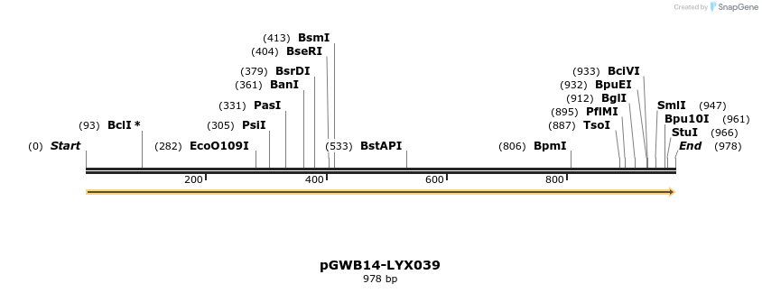 241531_map