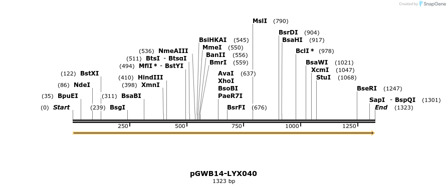 241532_map