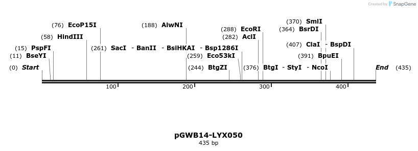 241542_map