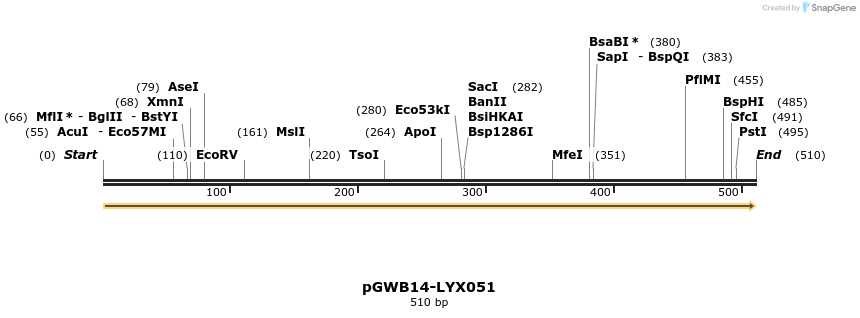 241543_map