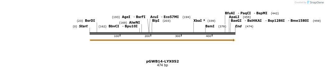 241544_map