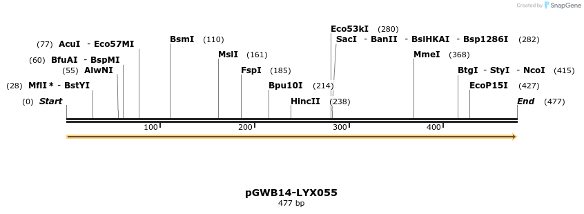 241547_map
