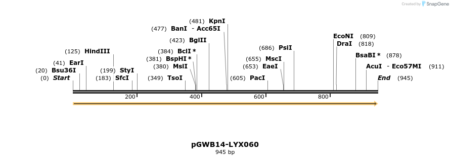 241552_map