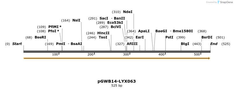 241555_map