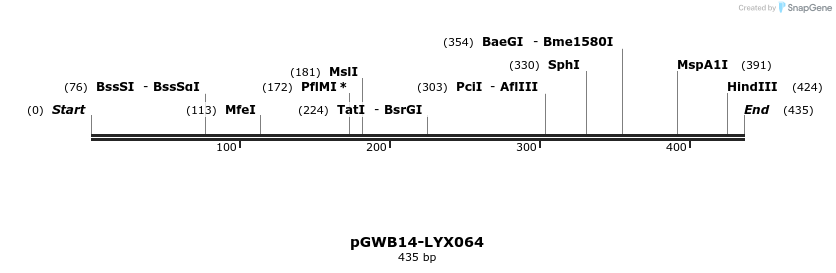 241556_map
