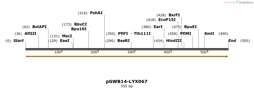 241559_map