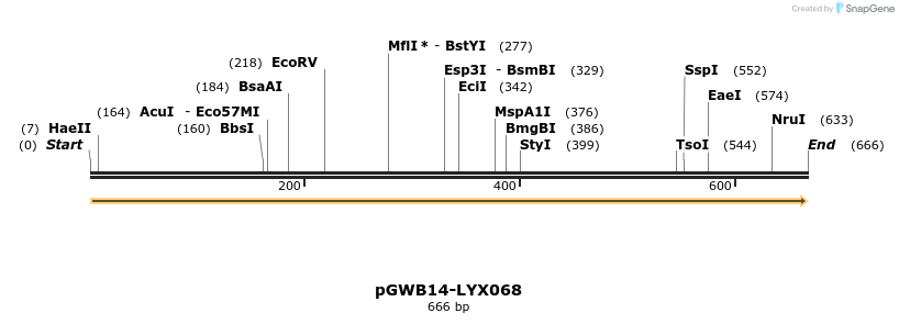 241560_map