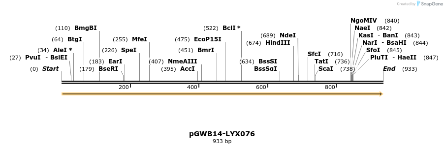 241568_map