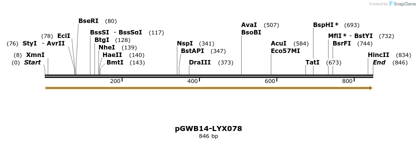 241570_map