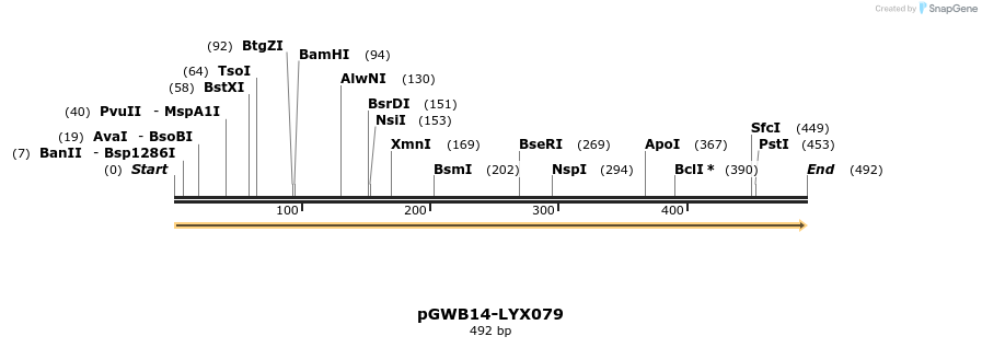 241571_map