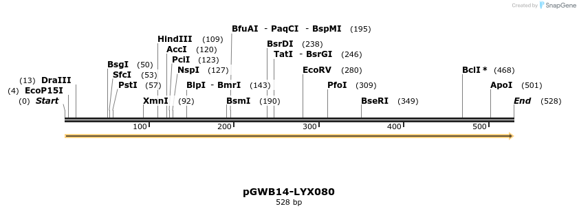 241572_map