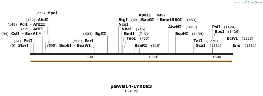 241575_map