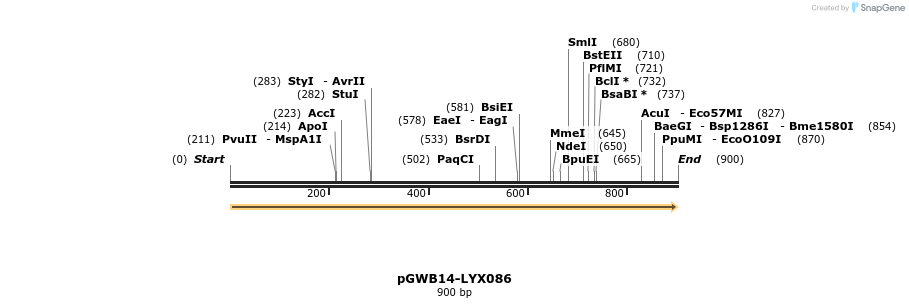 241578_map