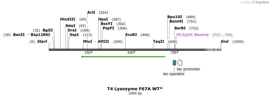 24158_map