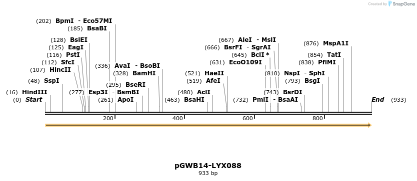 241580_map