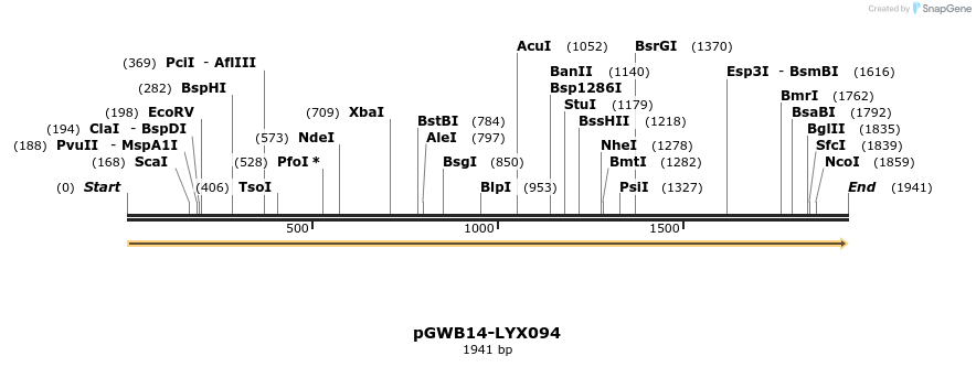 241586_map