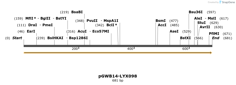 241590_map