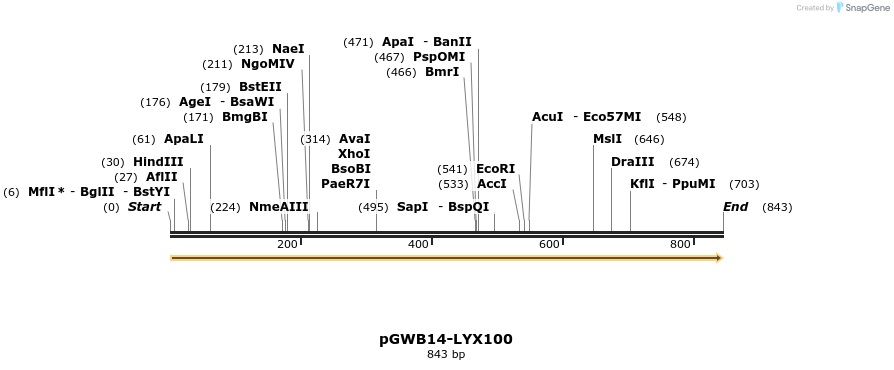 241592_map
