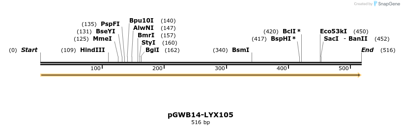 241597_map