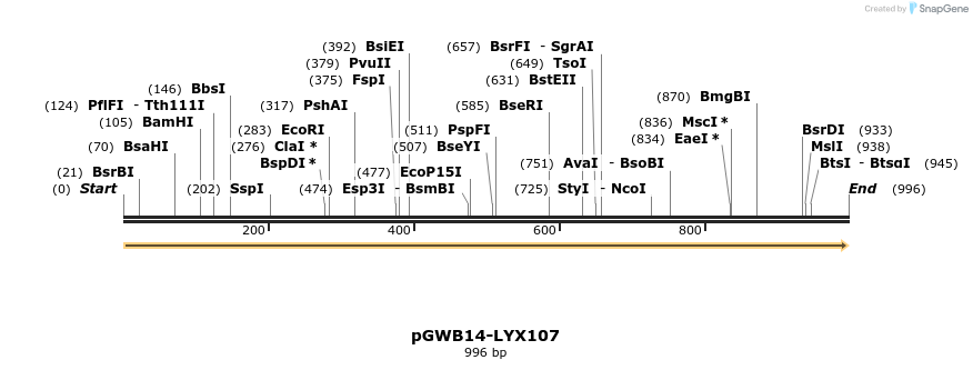 241599_map