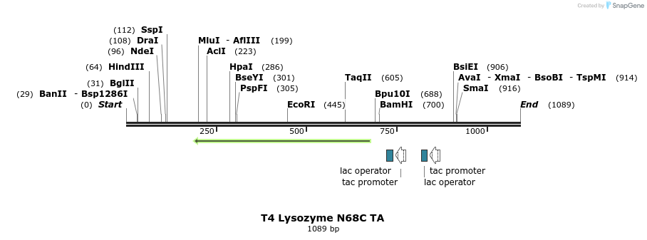 24160_map