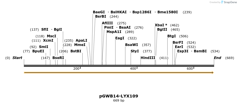 241601_map