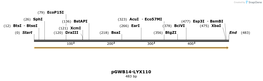 241602_map