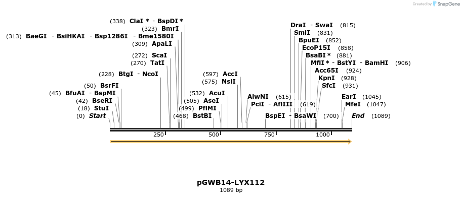 241604_map