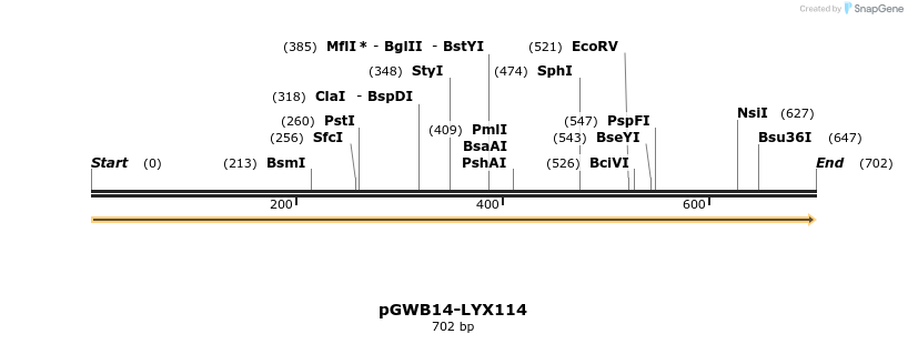 241606_map