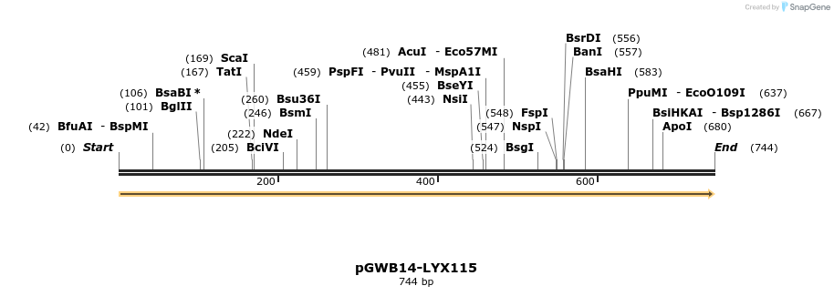 241607_map