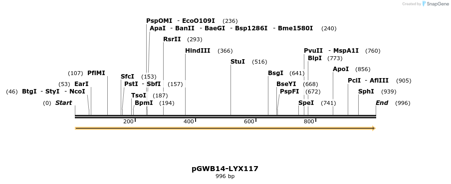 241609_map