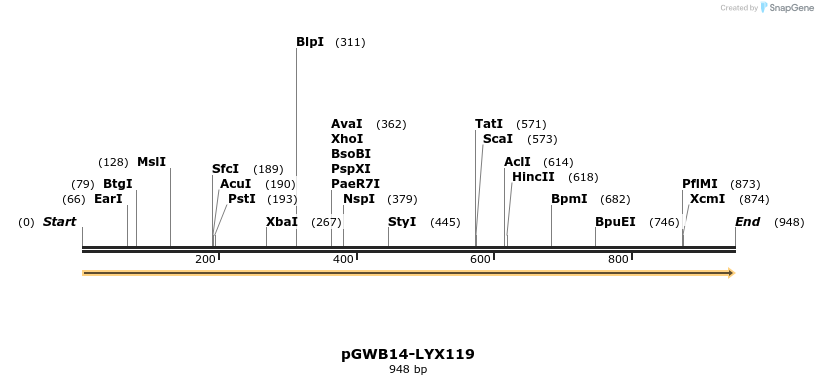 241611_map