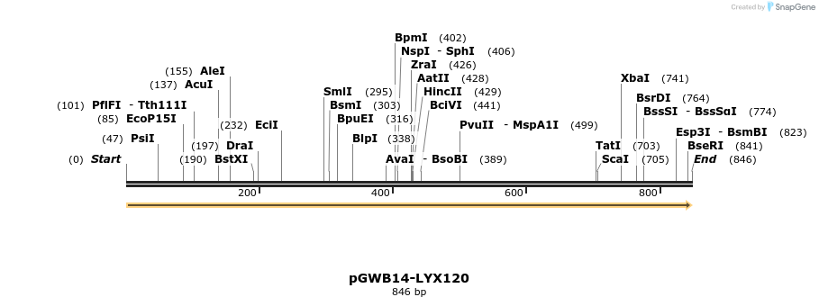 241612_map
