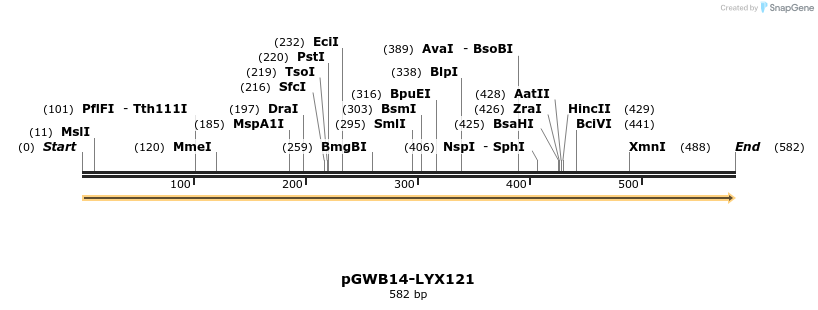 241613_map