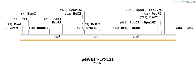 241615_map